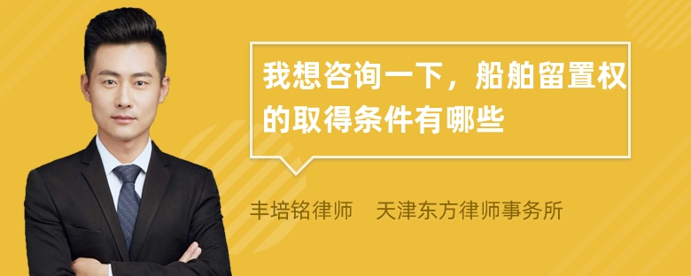 我想咨询一下，船舶留置权的取得条件有哪些