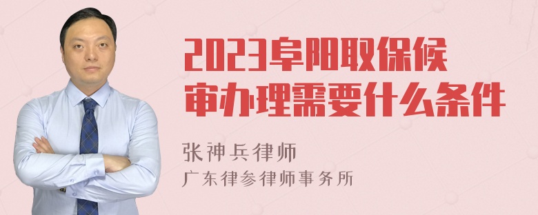 2023阜阳取保候审办理需要什么条件