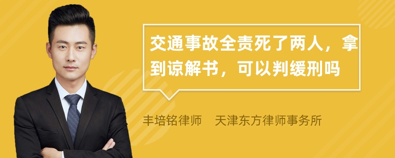 交通事故全责死了两人，拿到谅解书，可以判缓刑吗