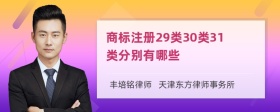 商标注册29类30类31类分别有哪些