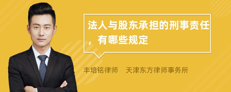 法人与股东承担的刑事责任，有哪些规定