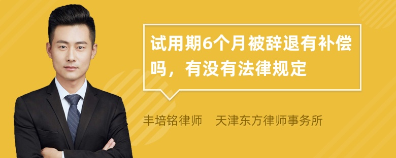 试用期6个月被辞退有补偿吗，有没有法律规定