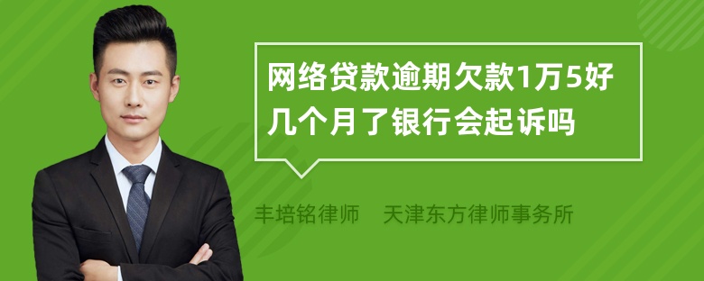 网络贷款逾期欠款1万5好几个月了银行会起诉吗