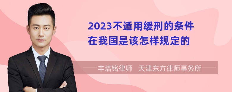 2023不适用缓刑的条件在我国是该怎样规定的