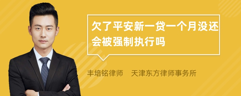 欠了平安新一贷一个月没还会被强制执行吗