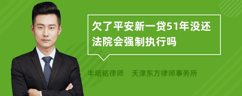 欠了平安新一贷51年没还法院会强制执行吗