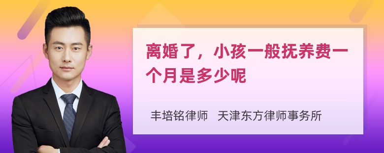 离婚了，小孩一般抚养费一个月是多少呢