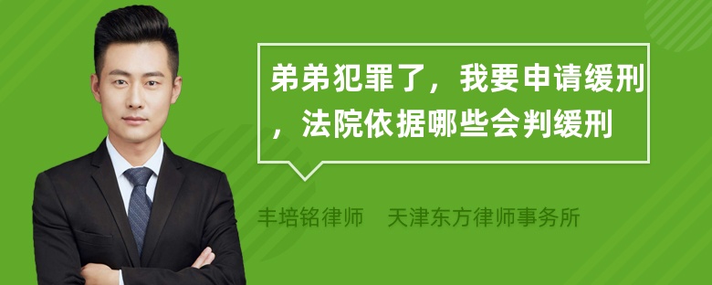 弟弟犯罪了，我要申请缓刑，法院依据哪些会判缓刑