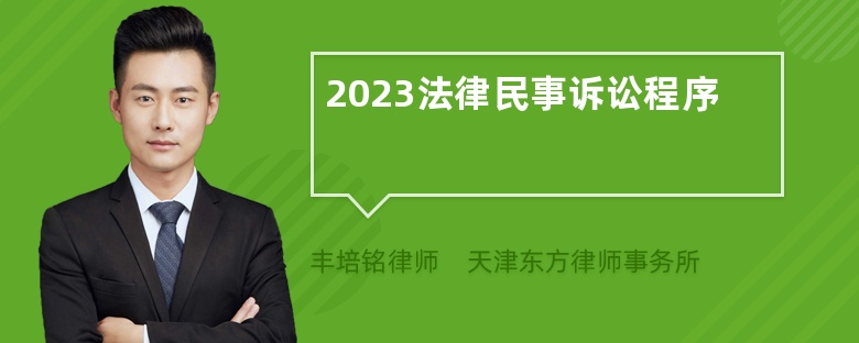 2023法律民事诉讼程序