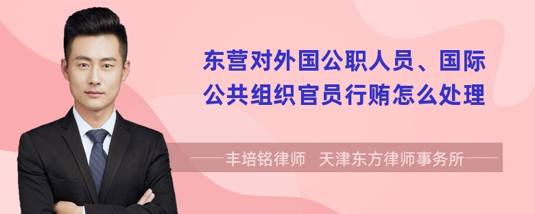 东营对外国公职人员、国际公共组织官员行贿怎么处理