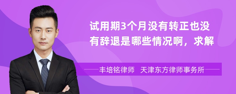 试用期3个月没有转正也没有辞退是哪些情况啊，求解