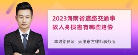 2023海南省道路交通事故人身损害有哪些赔偿