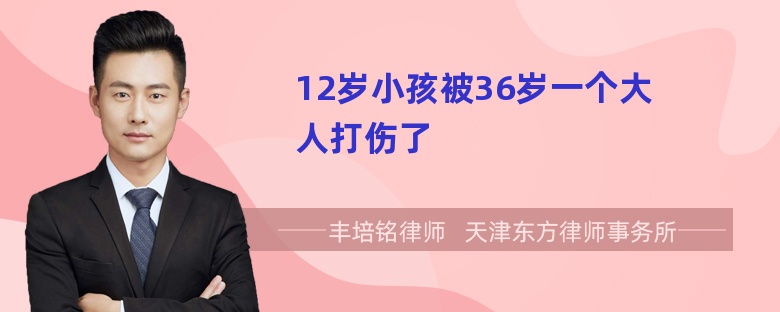 12岁小孩被36岁一个大人打伤了