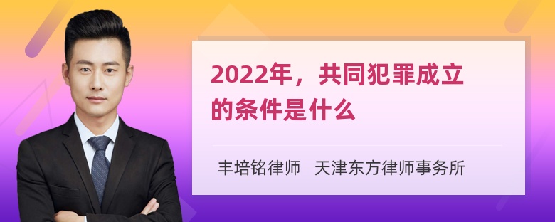 2022年，共同犯罪成立的条件是什么