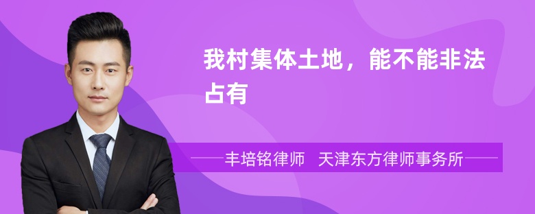 我村集体土地，能不能非法占有