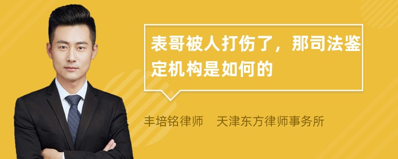 表哥被人打伤了，那司法鉴定机构是如何的