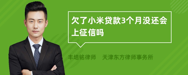 欠了小米贷款3个月没还会上征信吗