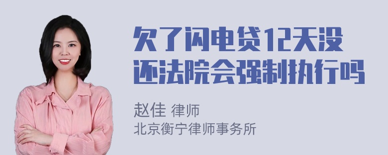 欠了闪电贷12天没还法院会强制执行吗