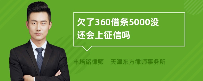 欠了360借条5000没还会上征信吗