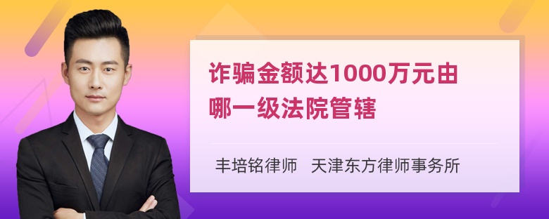 诈骗金额达1000万元由哪一级法院管辖