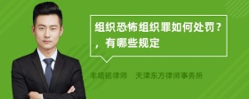 组织恐怖组织罪如何处罚？，有哪些规定