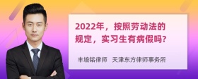 2022年，按照劳动法的规定，实习生有病假吗?