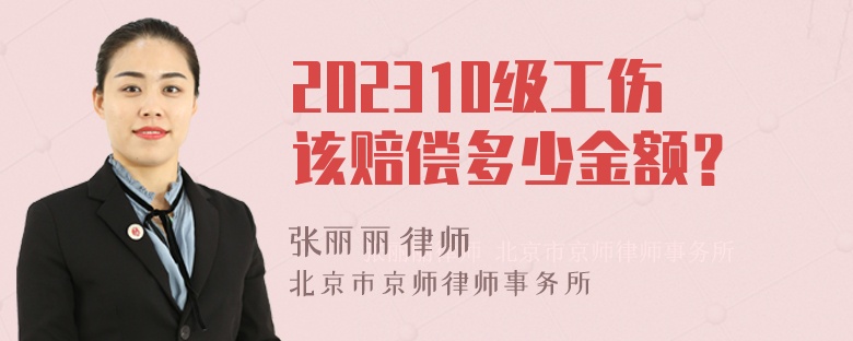 202310级工伤该赔偿多少金额？