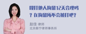 殴打他人拘留12天合理吗？在拘留所不会被打吧？