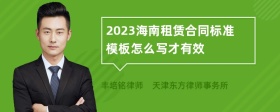 2023海南租赁合同标准模板怎么写才有效