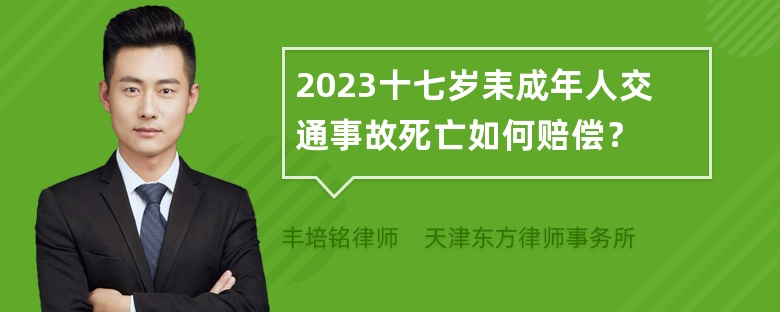 2023十七岁耒成年人交通事故死亡如何赔偿？