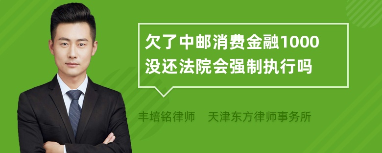 欠了中邮消费金融1000没还法院会强制执行吗