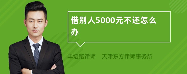 借别人5000元不还怎么办