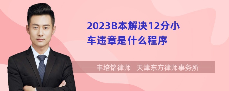 2023B本解决12分小车违章是什么程序