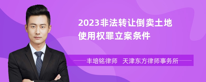 2023非法转让倒卖土地使用权罪立案条件