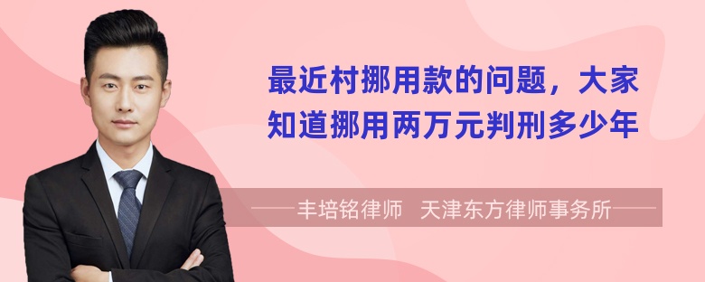 最近村挪用款的问题，大家知道挪用两万元判刑多少年