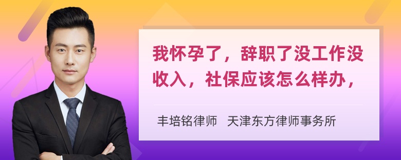 我怀孕了，辞职了没工作没收入，社保应该怎么样办，