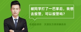 被同学打了一巴掌后，我想去报警，可以报警吗？