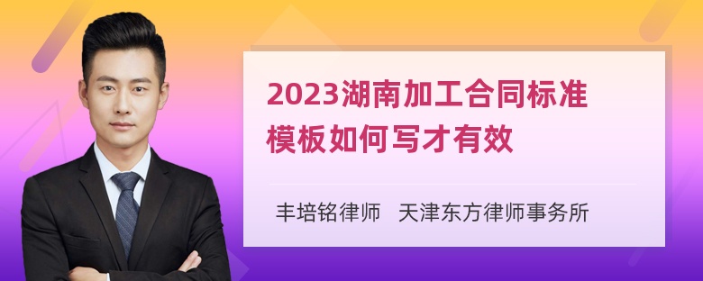 2023湖南加工合同标准模板如何写才有效