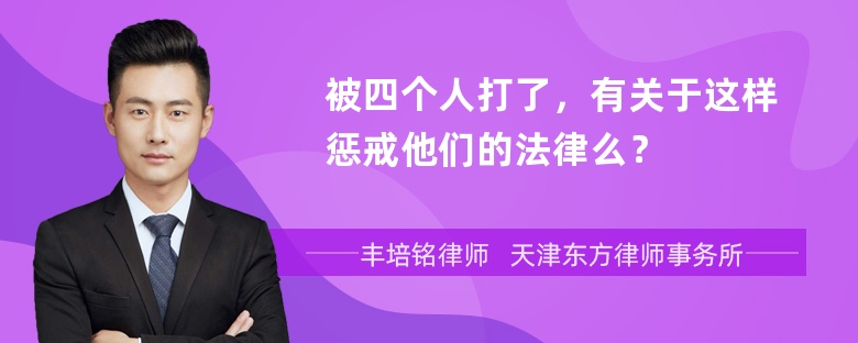 被四个人打了，有关于这样惩戒他们的法律么？