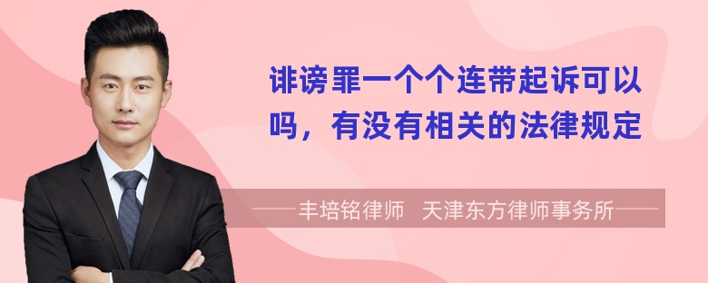 诽谤罪一个个连带起诉可以吗，有没有相关的法律规定