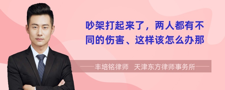 吵架打起来了，两人都有不同的伤害、这样该怎么办那