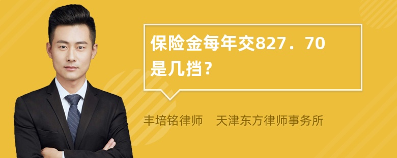 保险金每年交827．70是几挡？