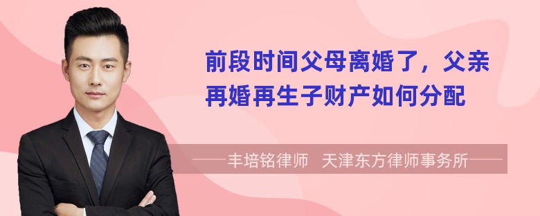 前段时间父母离婚了，父亲再婚再生子财产如何分配