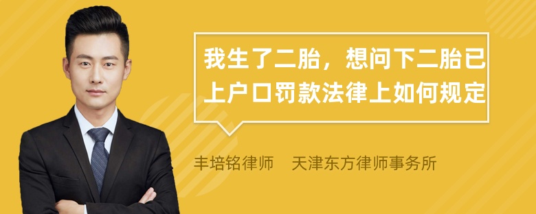 我生了二胎，想问下二胎已上户口罚款法律上如何规定