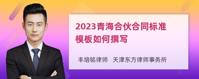 2023青海合伙合同标准模板如何撰写