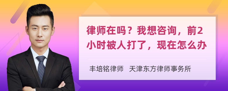 律师在吗？我想咨询，前2小时被人打了，现在怎么办