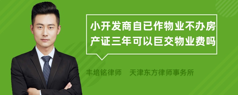 小开发商自已作物业不办房产证三年可以巨交物业费吗