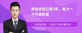 劳动合同己签3年，现才一个月被辞退