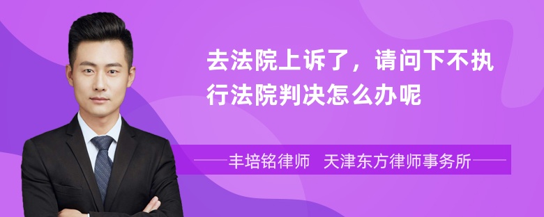 去法院上诉了，请问下不执行法院判决怎么办呢