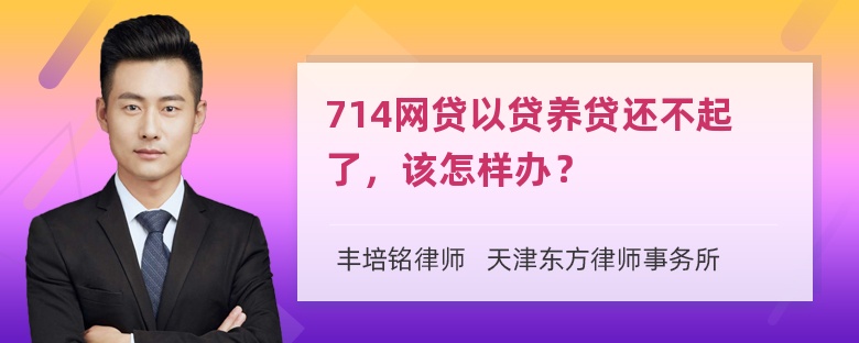 714网贷以贷养贷还不起了，该怎样办？